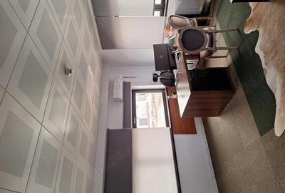 Afumati inchiriere spatiu hala - 1