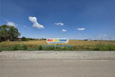 Teren 25395 mp situat in comuna Clinceni aproape de zone Rez - 5