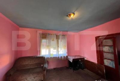 Casă cu 2 camere cu Teren 1500 Mp în Botizului - 8