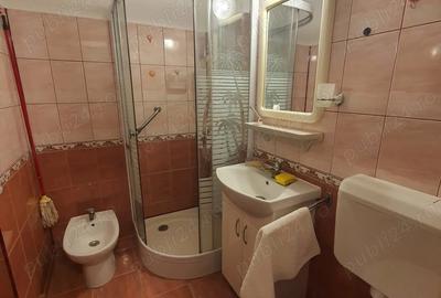 FARA COMISION - Vind apartament 3 camere in Timisoara, Zona Tipografilor - 6