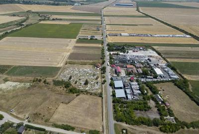 Teren intravilan 6.005 mp in Zadareni - 5