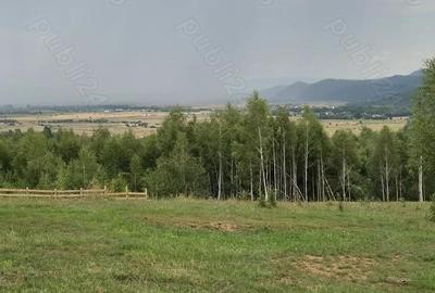 Teren extravilan 13.800 mp Ra?nov, Glajarie priveli?te superba, oportunitate de investi?ie Teren extravilan 13.800 mp Ra?nov, Glajarie priveli?te superba, oportunitate de investi?ie - 4