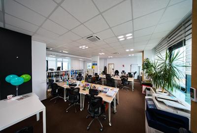 Birouri cu depozit de închiriat - 11