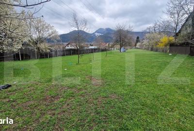 Teren de 4300 mp, în Baciu - 1