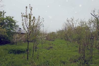 Teren de 3065 mp, în Sărățel - 1
