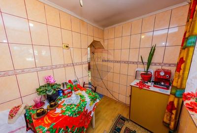 DE VANZARE Oportunitate rara proprietate cu 2 case zona Ulmeni - 12