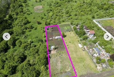 Teren Construcții intravilan de 906 mp, în Grădiște - 5