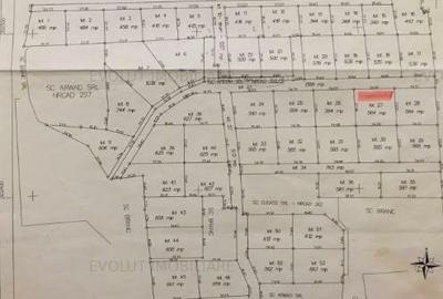 PADURE VALU LUI TRAIAN / zona popas Forest M / 2 loturi x 564 mp - 4