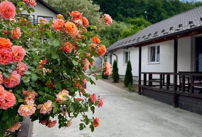 Casă cu Teren 867 Mp în Drăganu - 10