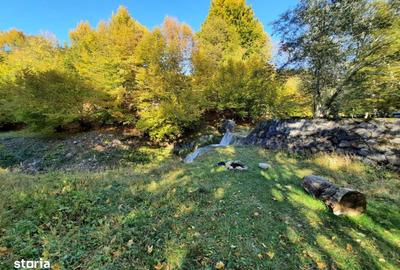 Teren de 7160 mp, în Central - 2