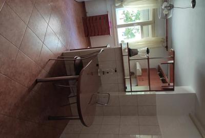 Apartament cu 2 camere decomandat în Steaua - 4