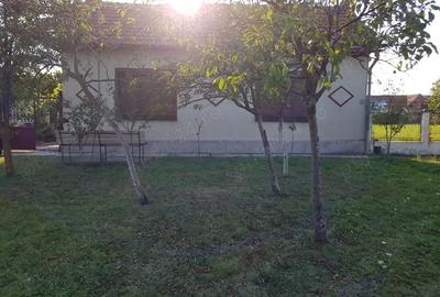 Casă cu 4 camere cu Teren 748 Mp în Bacova - 1