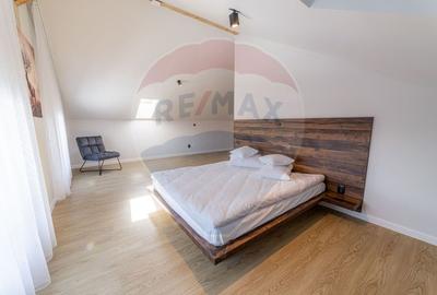 Hotel/Pensiune, de 1,100 mp, în Muntele Băișorii - 21