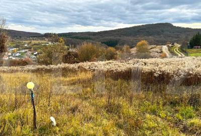 Teren de 2400 mp, în Central