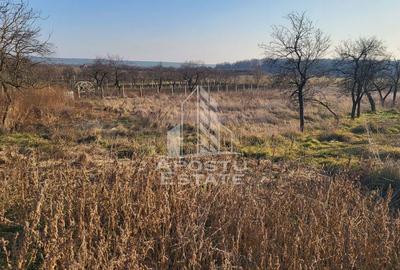 Teren de 3844 mp, în Pișchia - 6