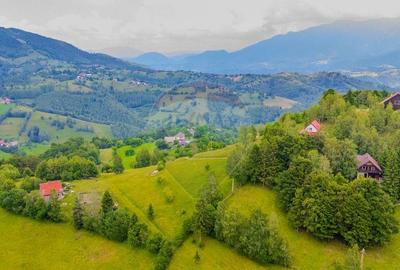 COMISION 0% Teren 10,594mp Pestera /Intravilan - 5