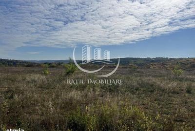 Teren de 3961 mp, în Paleu