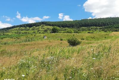 Teren de 3095 mp, în Tureni - 3