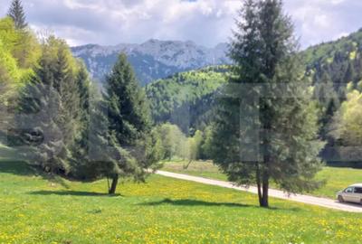 Teren în Central - 3