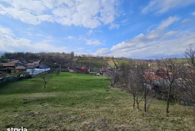 Teren de 4164 mp, în Coman - 5