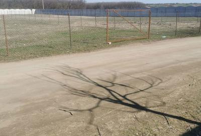 Teren de 700 mp, în Nanov - 7