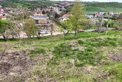 Teren Construcții intravilan de 975 mp, în Spitalul Județean - 1