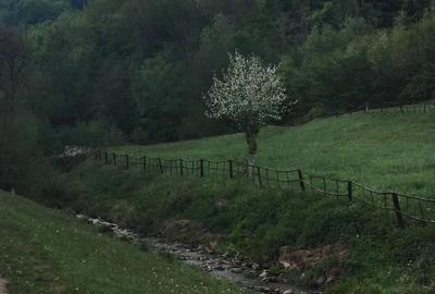 Teren de 1727 mp, în Stănija - 7