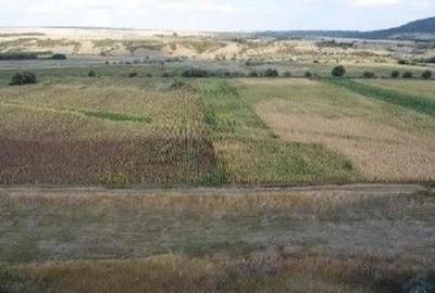 Teren Extravilan Banca, ID: R2805492 - 10