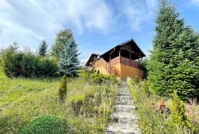 Complex de 3 case pe 18000 mp teren - 56