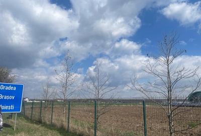Teren Construcții intravilan de 23000 mp, în Tâncăbești - 1