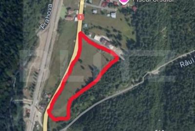 Teren de 9975 mp, în Predeal - 8