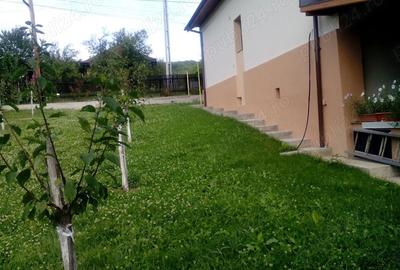 Casă cu 4 camere cu Teren 6202 Mp în Totea - 4