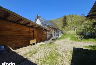 Casă cu 2 camere cu Teren 1414 Mp în Laslea - 3