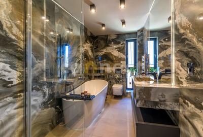 De inchiriat duplex in Grigorescu -215 mp terasa si 4 locuri parcare - 2