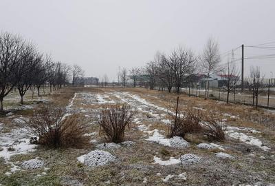 Casă cu 6 camere cu Teren 6000 Mp în Chichiș - 10