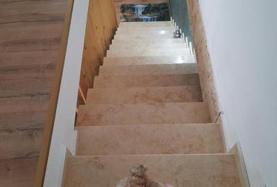 FARA COMISIOANE Tartasesti aproape de asfalt casa  5 camere 3 bai P+1+pod garaj - 26