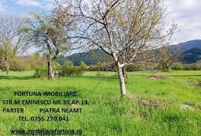 Teren de 1480 mp, în Vest - 3