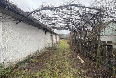 Casa cu 1.924 mp teren, de inchiriat, Sfantu Gheorghe - 13