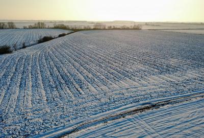 Teren Construcții intravilan de 17800 mp, în Șagului - 6