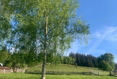 Teren de 2000 mp, în Central - 14