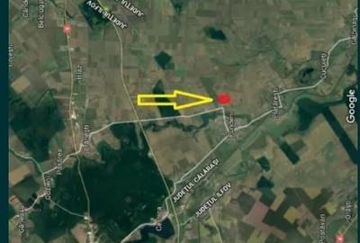Teren cernica branesti fundeni calarasi stradal 1ha - 2