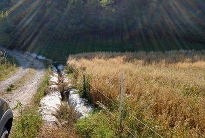 Teren de 300000 mp, în Roșia de Amaradia - 3