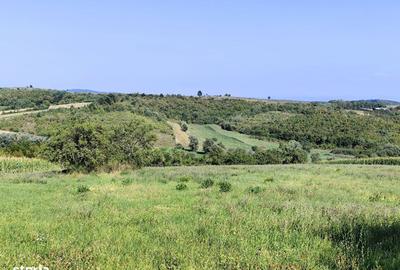 Casă cu 4 camere cu Teren 4600 Mp în Lăzăreni - 2