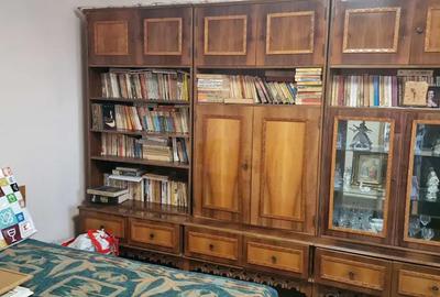 Vand vila individuala Timisoara-Calea Aradului - 2