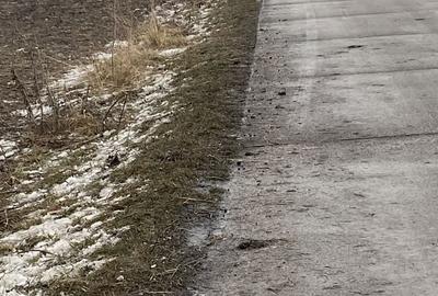 Spațiu comercial, în Satu Mare - 1