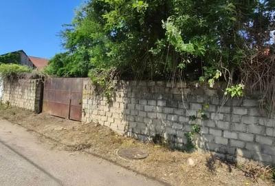 Casă cu 4 camere cu Teren 700 Mp în Bozovici - 2