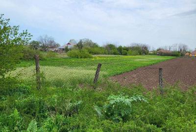 Teren de 2000 mp, în Jilavele - 4