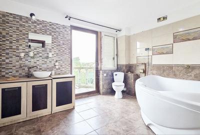 Vanzare vila P+1+M  Sinesti Ialomita  Balta Mostistea - 21