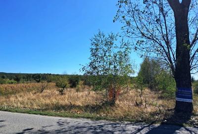 TEREN INTRAVILAN ȘI EXTRAVILAN BAIA DE FIER - 2