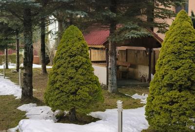 Casă individuală cu 5 camere cu Canalizare în Piatra Arsă - 9